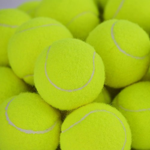 INSUM 30 Pack Bulk Tennis Balls – High Elasticity Practice Tennis Balls with Mesh Bags, Portable for Pet Dog Outdoor Playing, Training, Fetching