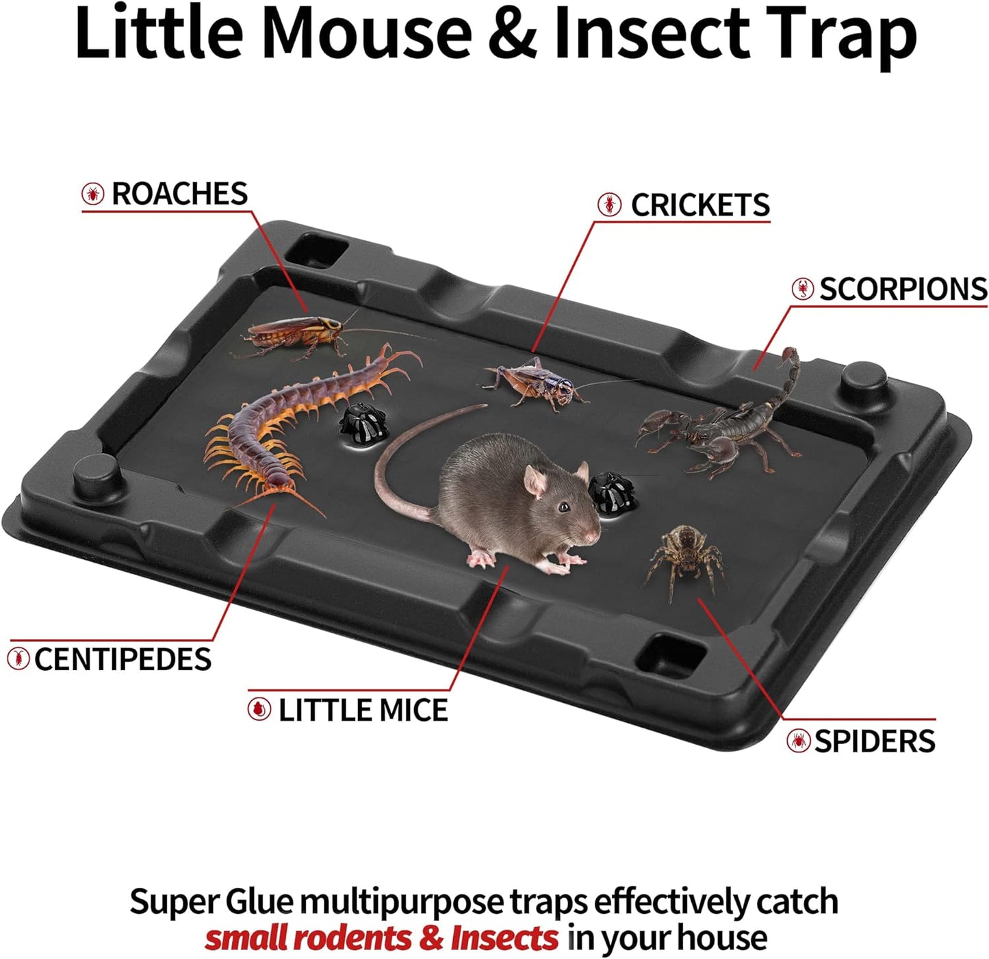 LULUCATCH Mouse & Insect Traps - 12 Pack of Heavy-Duty, Non-Toxic Sticky Traps for Home Use