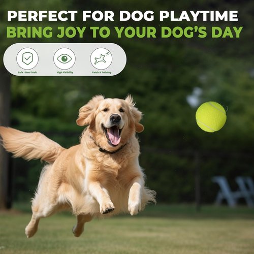 INSUM 30 Pack Bulk Tennis Balls – High Elasticity Practice Tennis Balls with Mesh Bags, Portable for Pet Dog Outdoor Playing, Training, Fetching