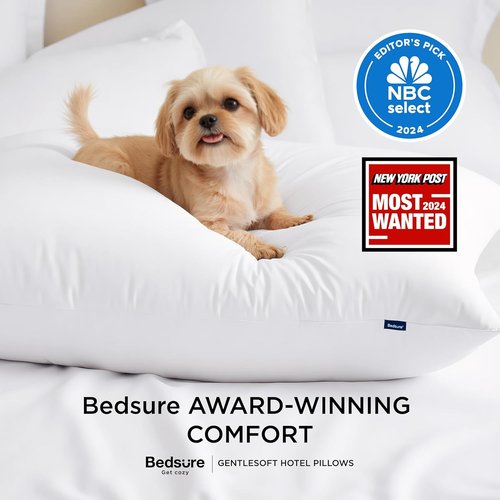 Bedsure Queen Size Pillows - Soft Down Alternative Bed Pillows for All Sleep Positions, 28"x19", White, Set of 2
