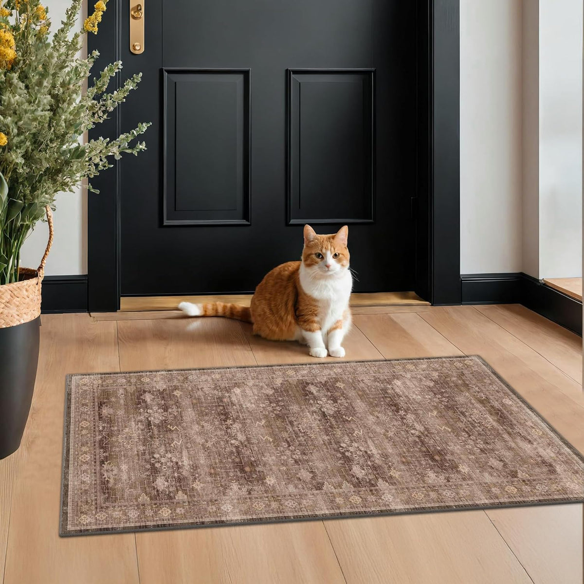 Regine Switzerland Brown 2x4 Entryway Runner Rug - Non-Slip, Washable, Vintage Taupe Design
