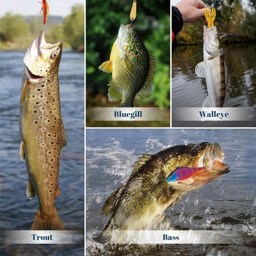 Fishing Advent Calendar 2025 - Lures Kit & Tackle Box for Men | 24 Days of Holiday Surprises