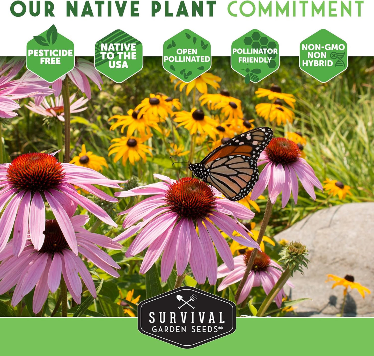 Native Wildflower Seeds - 24 Variety Pack for Butterfly & Bee-Friendly Gardens | Non-GMO Heirloom