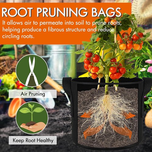 Gardzen 1 Gallon Grow Bags - 6-Pack Heavy Duty Aeration Pots with Handles for Container Gardening