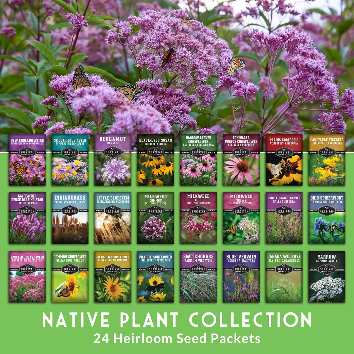 Native Wildflower Seeds - 24 Variety Pack for Butterfly & Bee-Friendly Gardens | Non-GMO Heirloom